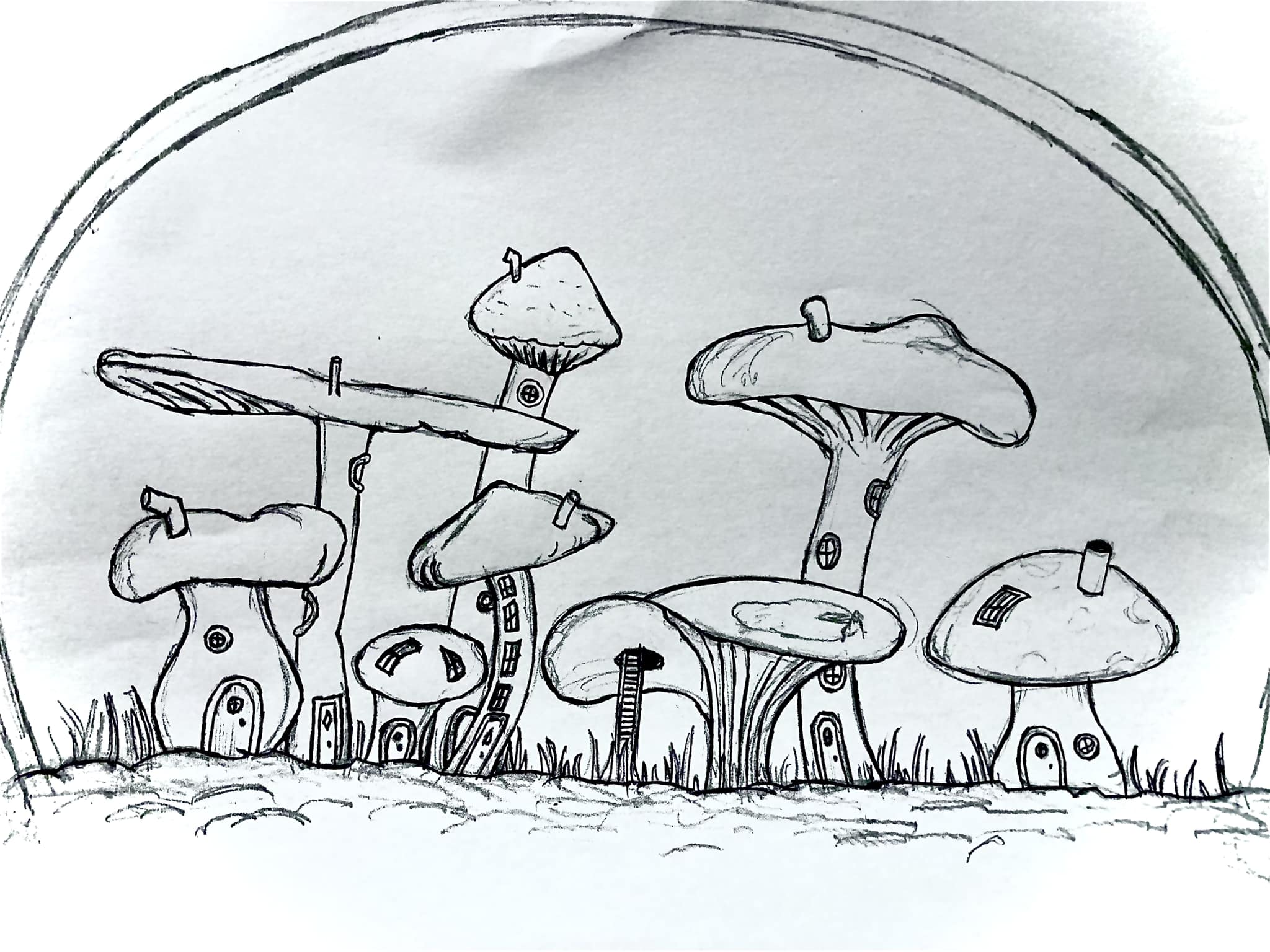 A picture of a group of mushrooms